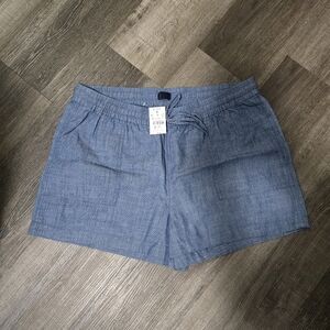 J CREW Blue Women's Shorts